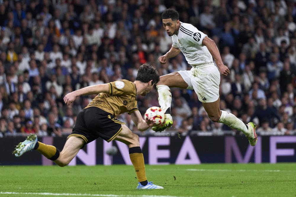 米项目的季 米项目的季